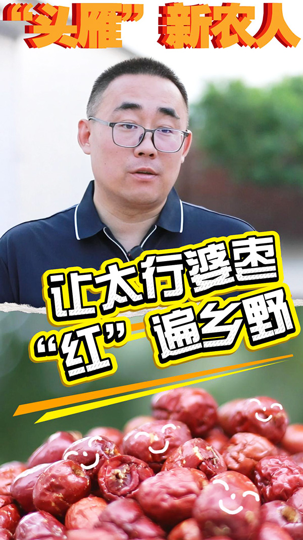 【“头雁”新农人】河北小伙读研期间获评全国劳模 把论文写在太行山脚下